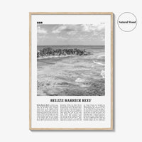 Belize Barrier Reef Print Black and White, Belize Barrier Reef Wall Art, Belize Barrier Reef Poster, Belize Barrier Reef Photo