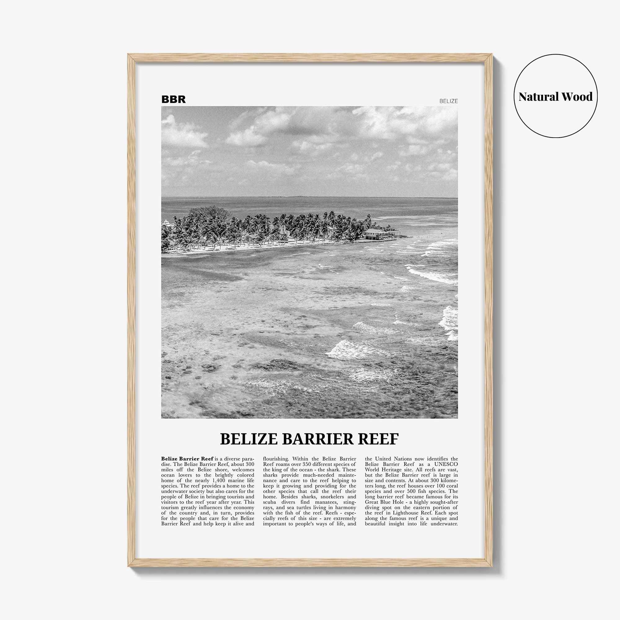 Belize Barrier Reef Print Black and White, Belize Barrier Reef Wall Art, Belize Barrier Reef Poster, Belize Barrier Reef Photo