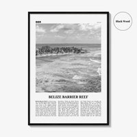 Belize Barrier Reef Print Black and White, Belize Barrier Reef Wall Art, Belize Barrier Reef Poster, Belize Barrier Reef Photo