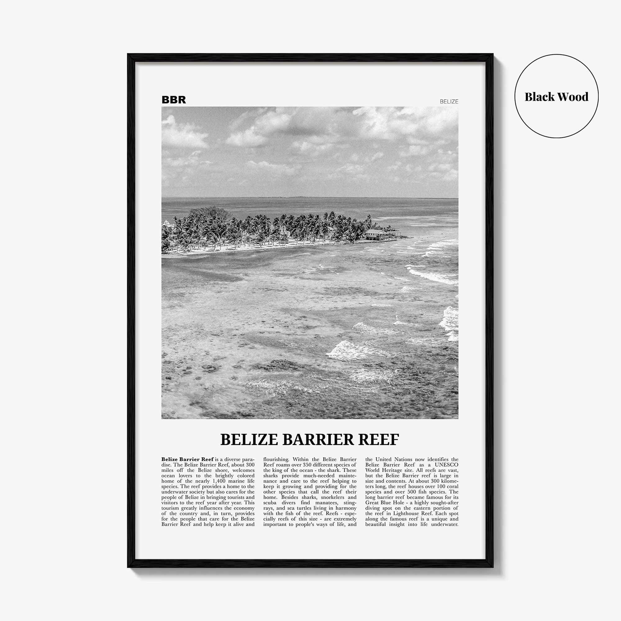 Belize Barrier Reef Print Black and White, Belize Barrier Reef Wall Art, Belize Barrier Reef Poster, Belize Barrier Reef Photo