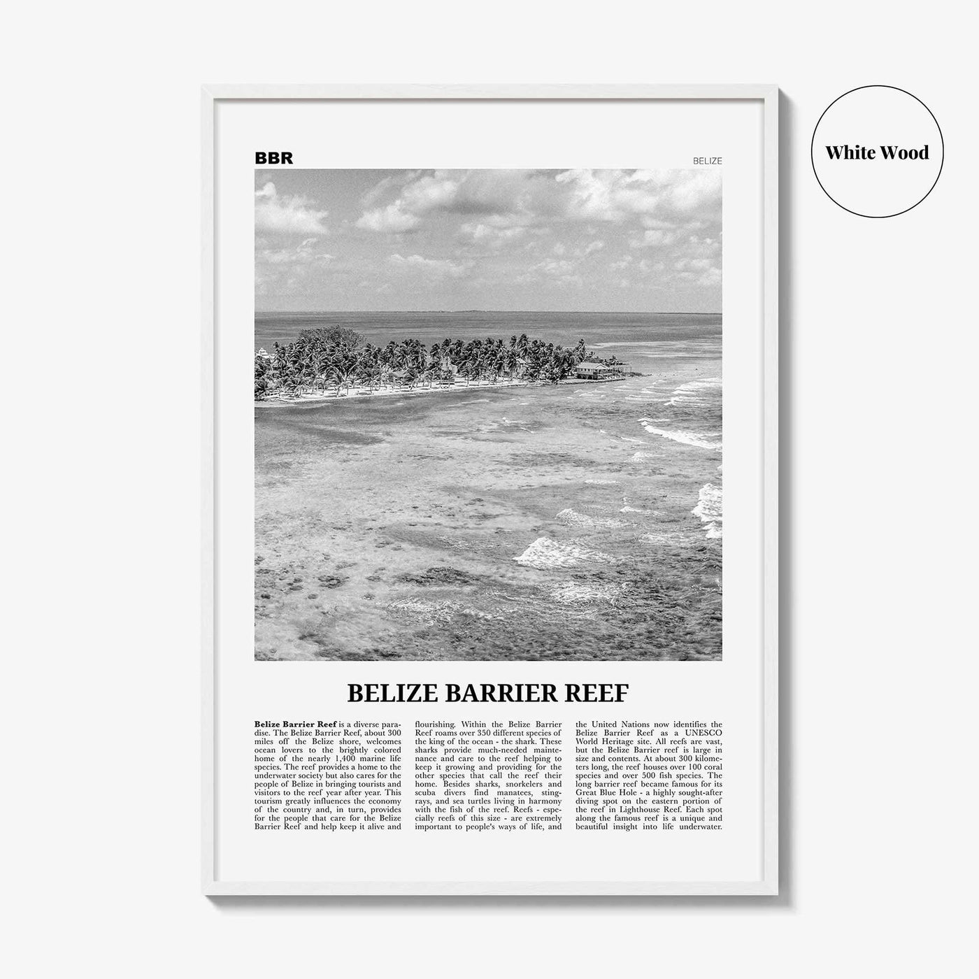 Belize Barrier Reef Print Black and White, Belize Barrier Reef Wall Art, Belize Barrier Reef Poster, Belize Barrier Reef Photo