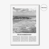 Belize Barrier Reef Print Black and White, Belize Barrier Reef Wall Art, Belize Barrier Reef Poster, Belize Barrier Reef Photo