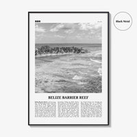 Belize Barrier Reef Print Black and White, Belize Barrier Reef Wall Art, Belize Barrier Reef Poster, Belize Barrier Reef Photo