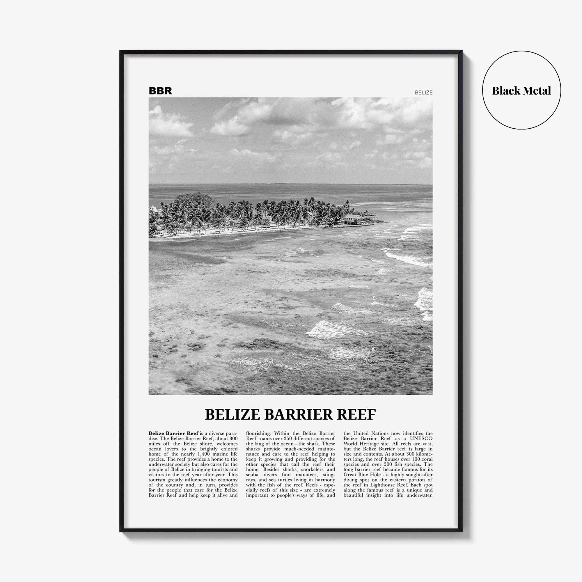 Belize Barrier Reef Print Black and White, Belize Barrier Reef Wall Art, Belize Barrier Reef Poster, Belize Barrier Reef Photo