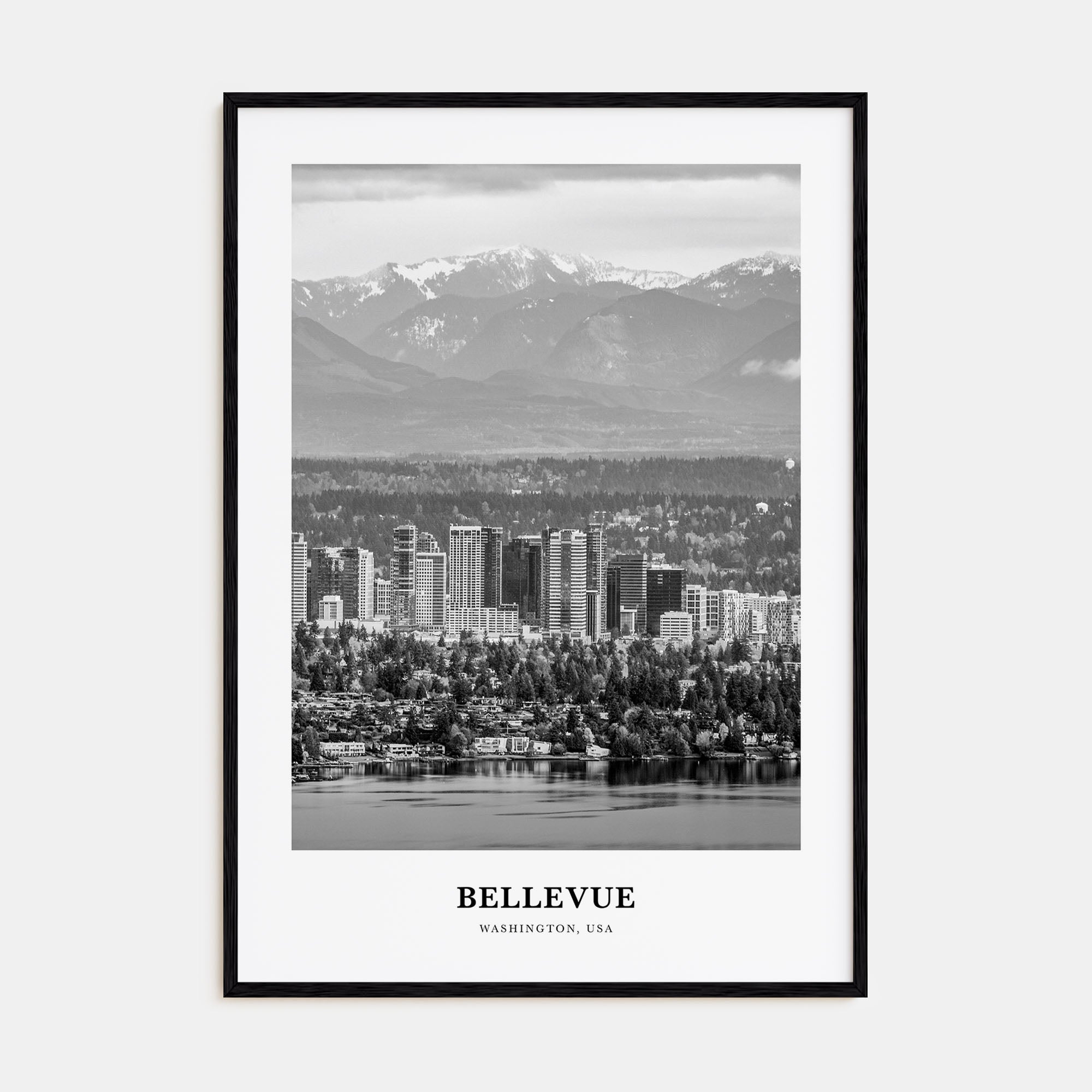 Bellevue Portrait B&W No 1 Poster