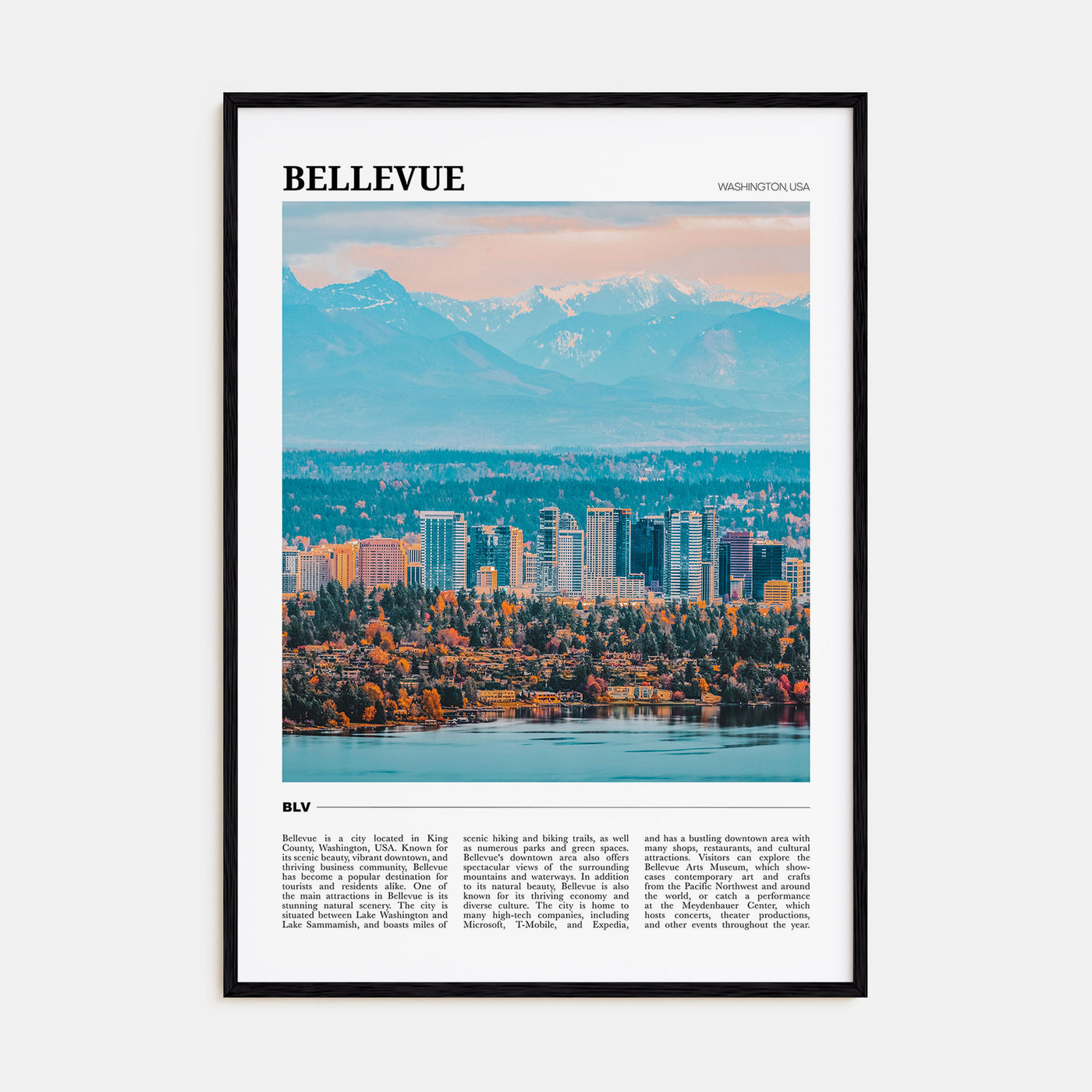 Bellevue Travel Color Poster