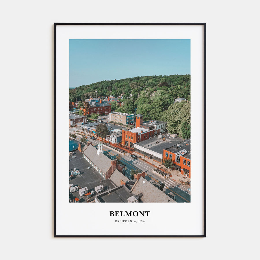 Belmont Portrait Color Poster