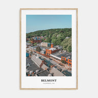 Belmont Portrait Color Poster
