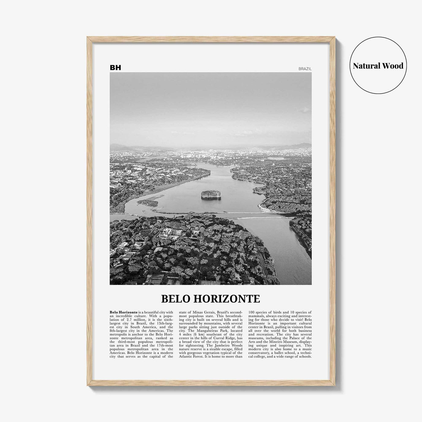 Belo Horizonte Print Black and White, Belo Horizonte Wall Art, Belo Horizonte Poster, Belo Horizonte Photo, Brazil, Brasil, South America