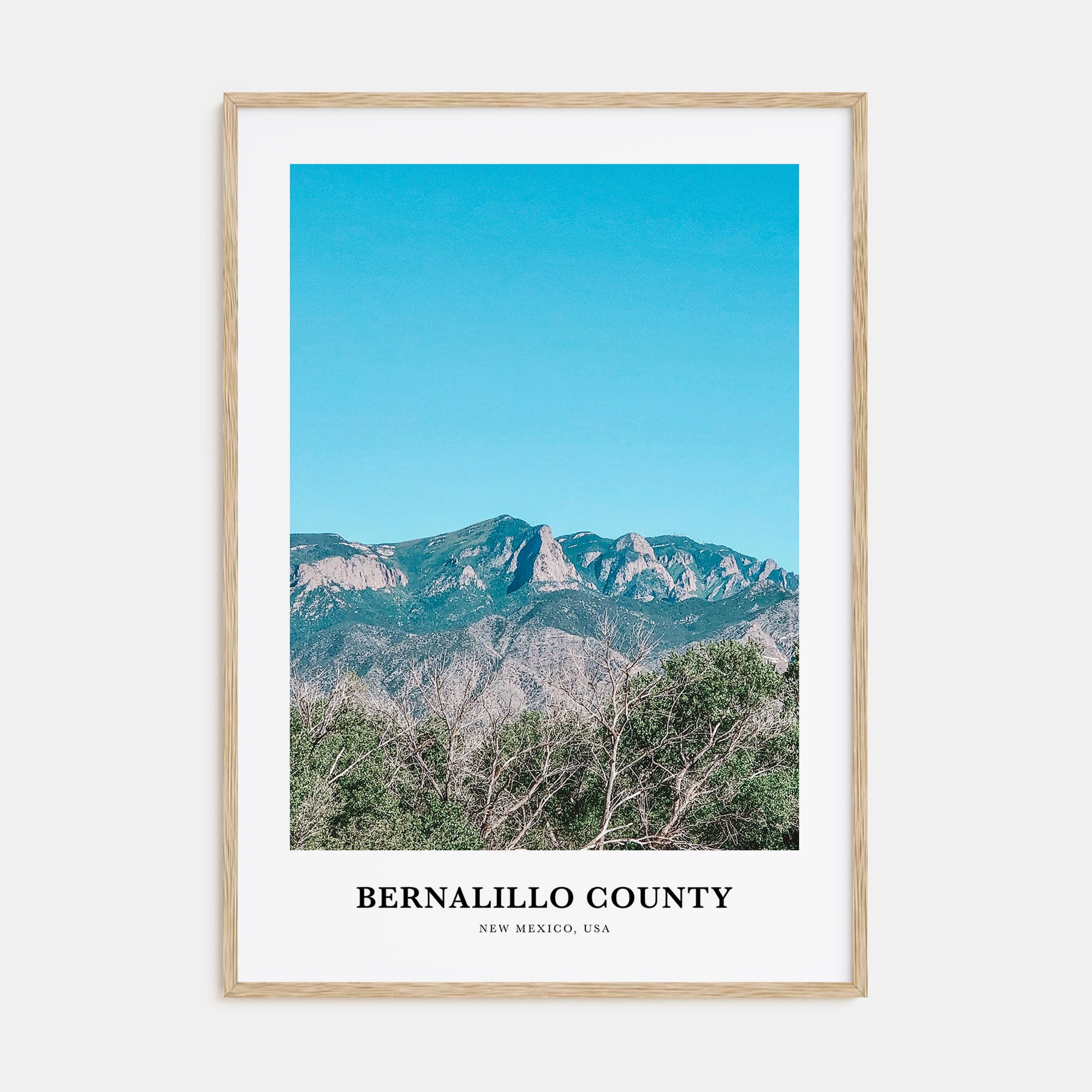 Bernalillo County Portrait Color Poster