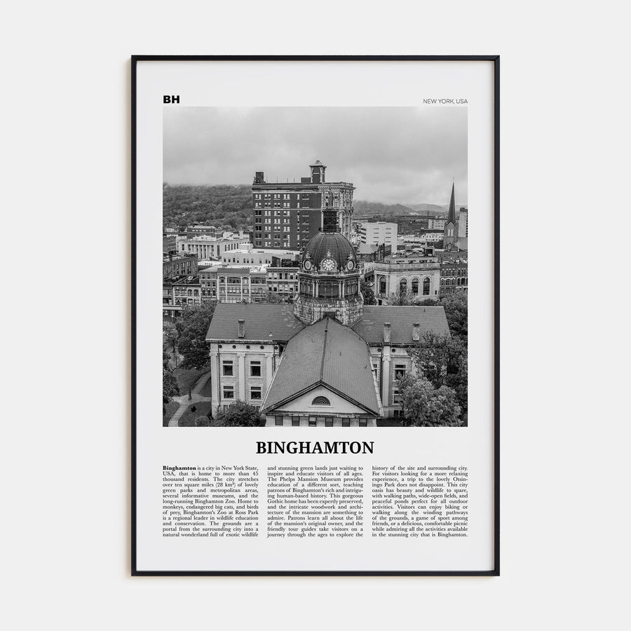 Binghamton Travel B&W Poster