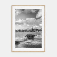 Bird Rock Photo B&W Poster