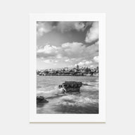 Bird Rock Photo B&W Poster