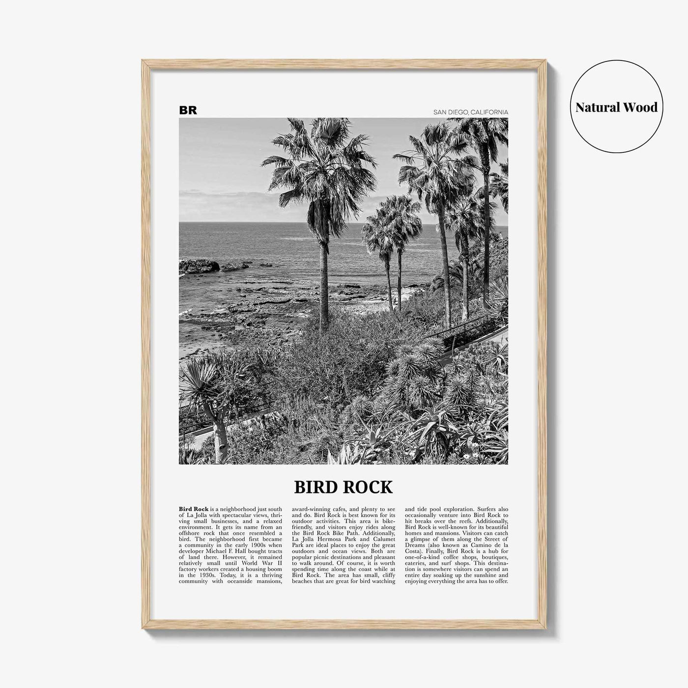 Bird Rock Print Black and White No 2, Bird Rock Wall Art, Bird Rock Poster, Bird Rock Photo, Bird Rock Wall Décor, San Diego, California