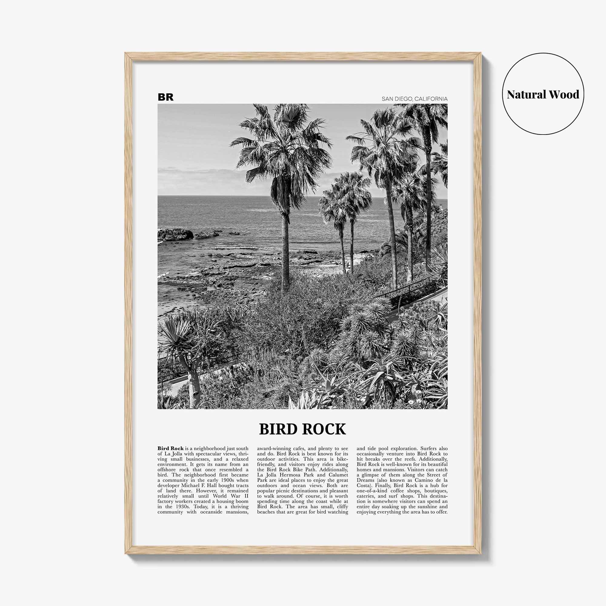 Bird Rock Print Black and White No 2, Bird Rock Wall Art, Bird Rock Poster, Bird Rock Photo, Bird Rock Wall Décor, San Diego, California