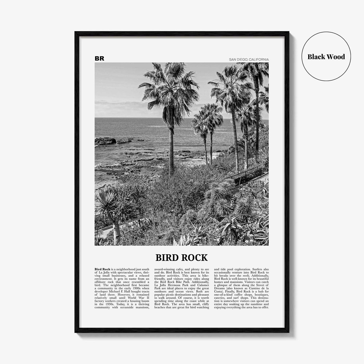 Bird Rock Print Black and White No 2, Bird Rock Wall Art, Bird Rock Poster, Bird Rock Photo, Bird Rock Wall Décor, San Diego, California