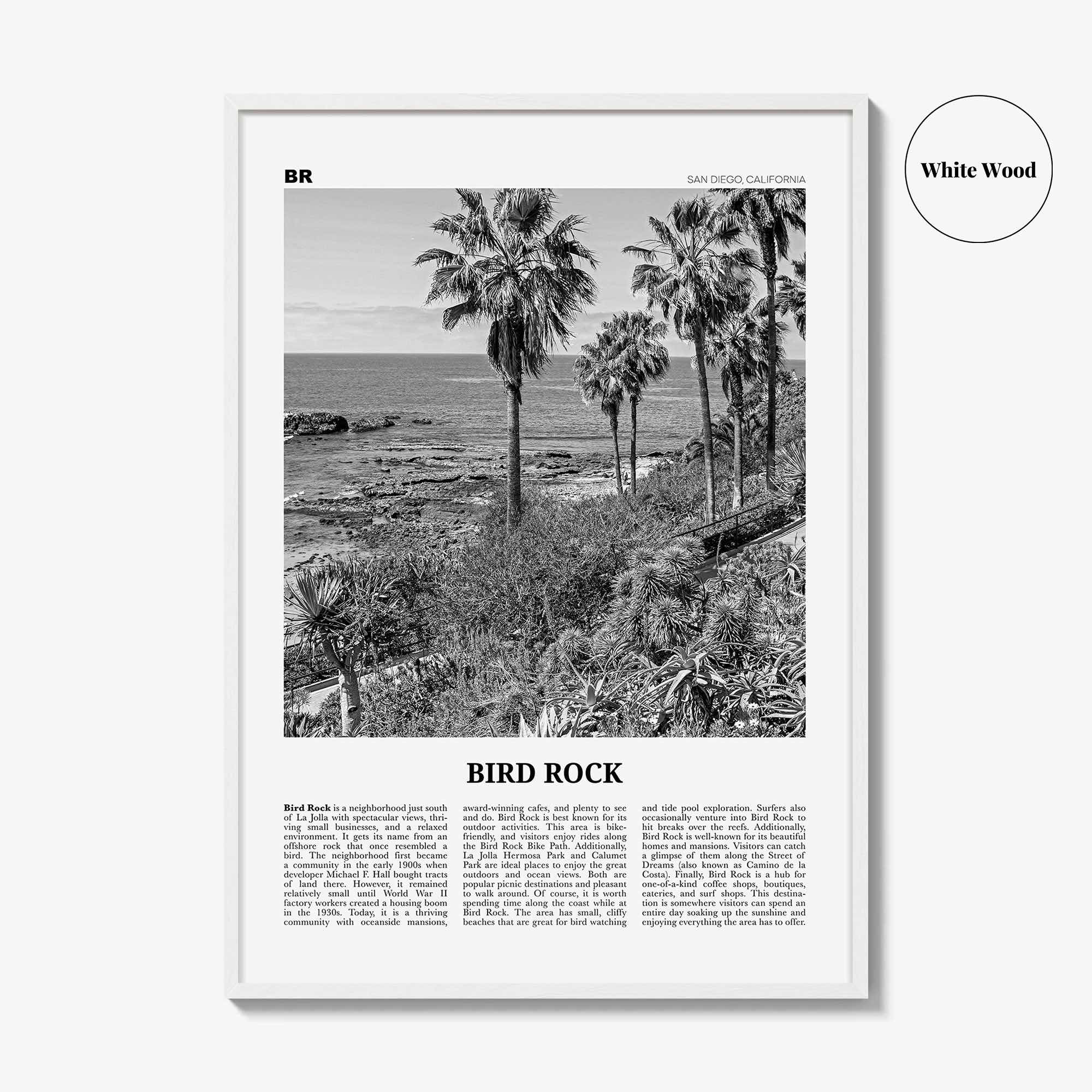 Bird Rock Print Black and White No 2, Bird Rock Wall Art, Bird Rock Poster, Bird Rock Photo, Bird Rock Wall Décor, San Diego, California