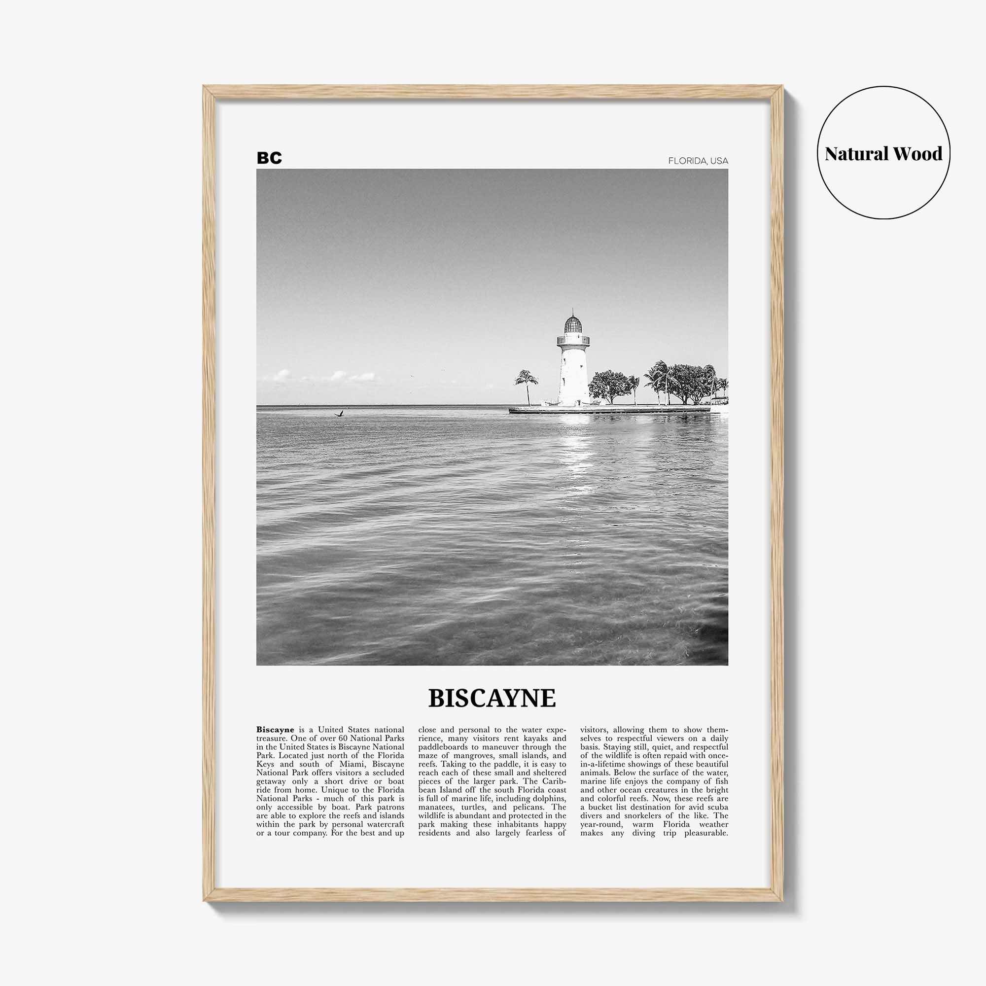 Biscayne National Park Print Black and White, Biscayne Wall Art, Biscayne Poster, Biscayne Photo, Biscayne Wall Décor, Florida, USA