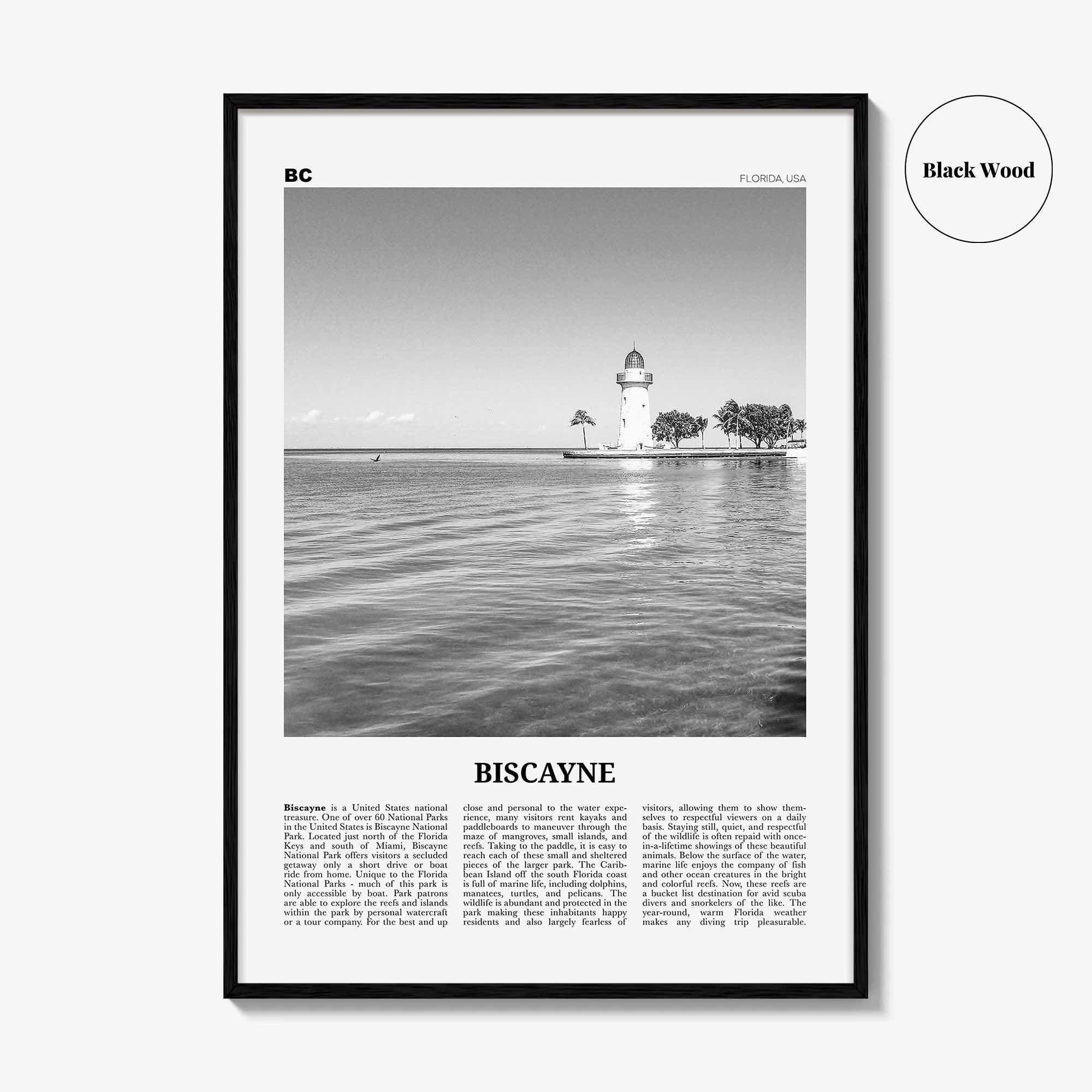 Biscayne National Park Print Black and White, Biscayne Wall Art, Biscayne Poster, Biscayne Photo, Biscayne Wall Décor, Florida, USA