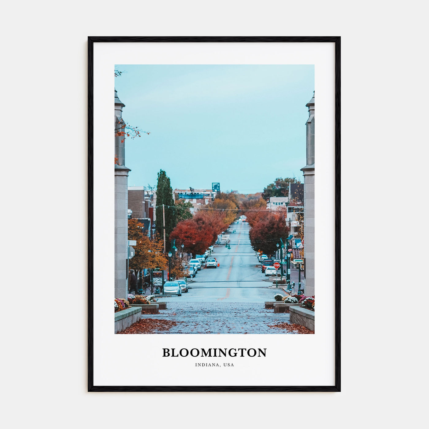 Bloomington Portrait Color Poster