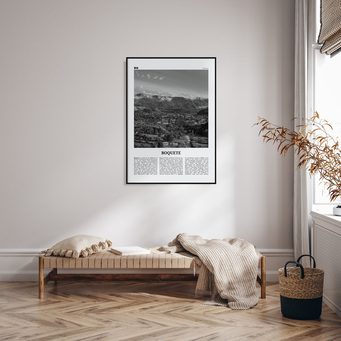 Boquete Travel B&W Poster