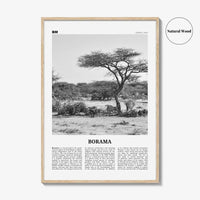 Borama Print Black and White, Borama Wall Art, Borama Poster, Borama Photo, Borama Wall Décor, Borama Map, Somalia