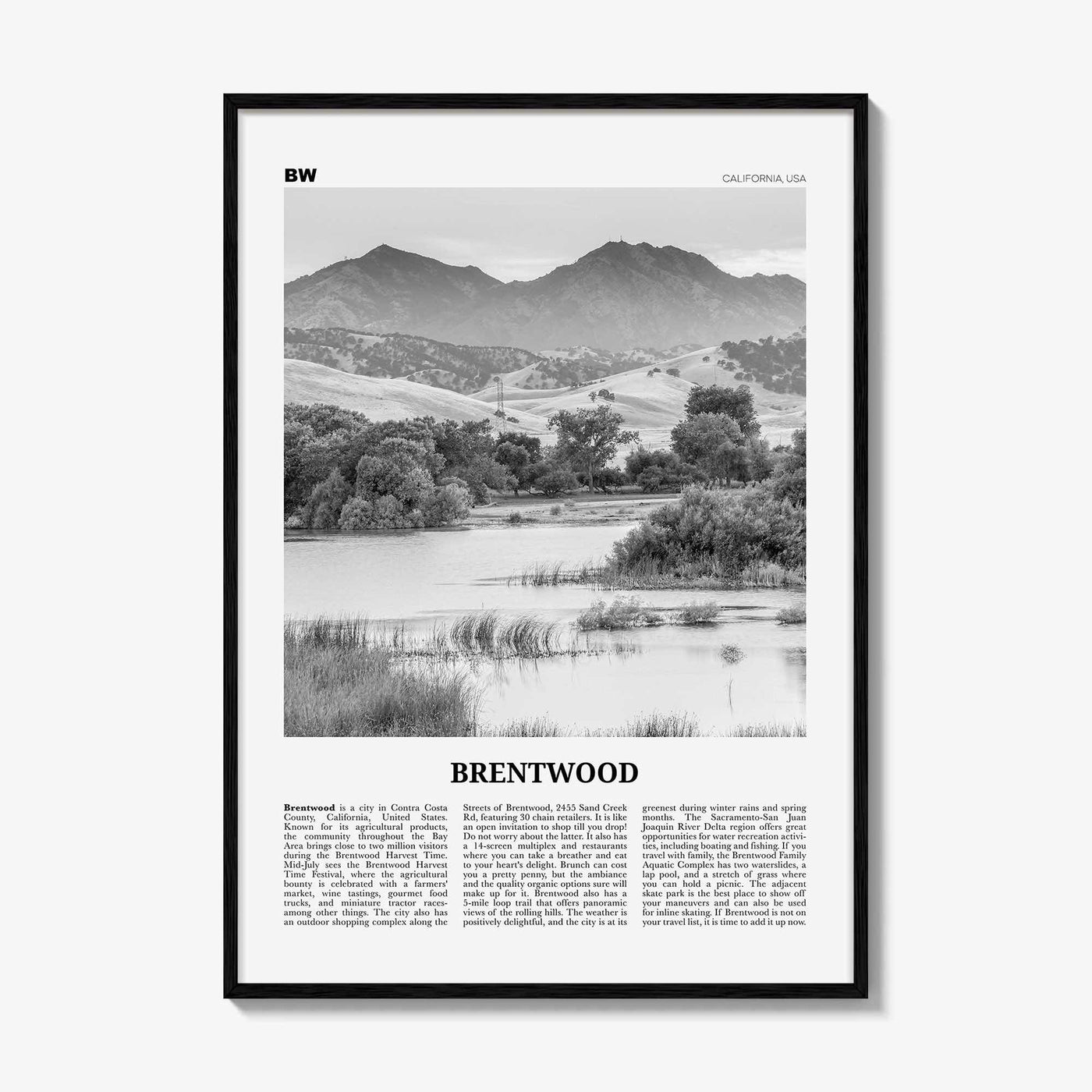 Brentwood Print Black and White, Brentwood Wall Art, Brentwood Poster, Brentwood Photo, Brentwood Wall Décor, California, USA, United States