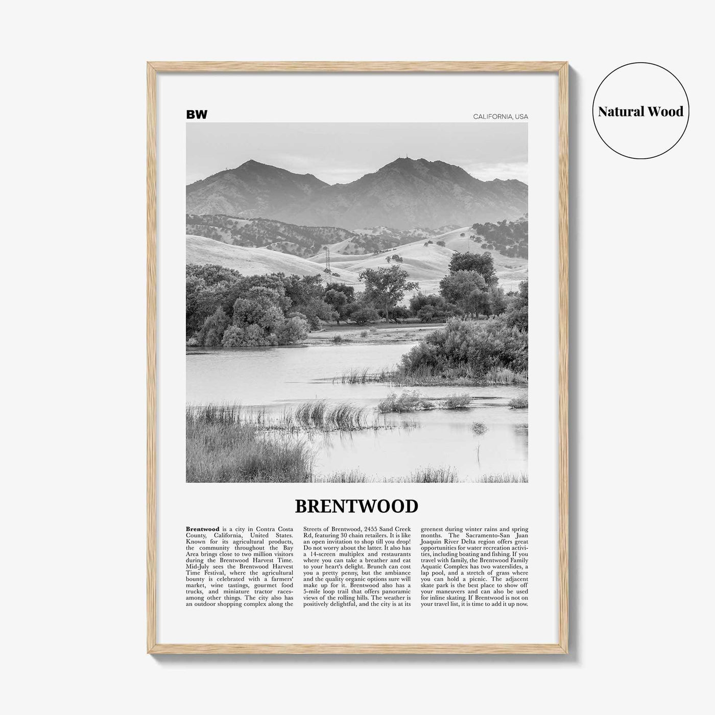 Brentwood Print Black and White, Brentwood Wall Art, Brentwood Poster, Brentwood Photo, Brentwood Wall Décor, California, USA, United States