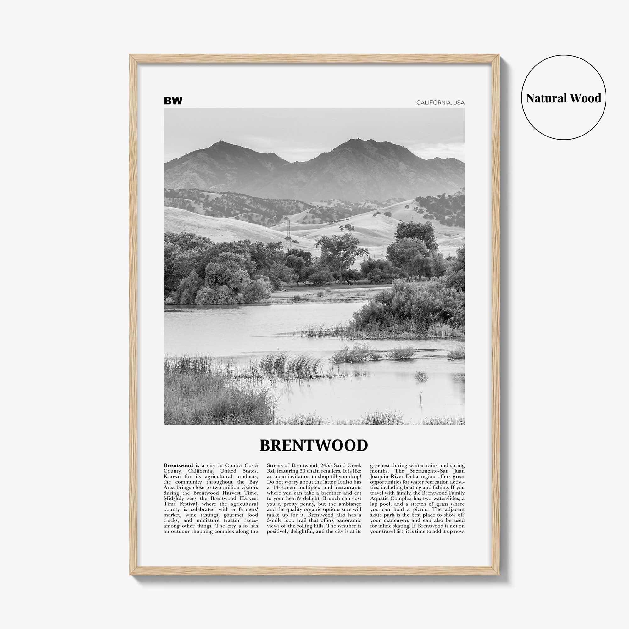 Brentwood Print Black and White, Brentwood Wall Art, Brentwood Poster, Brentwood Photo, Brentwood Wall Décor, California, USA, United States