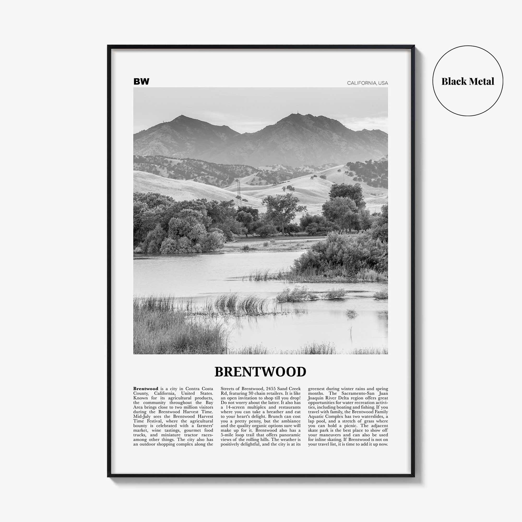 Brentwood Print Black and White, Brentwood Wall Art, Brentwood Poster, Brentwood Photo, Brentwood Wall Décor, California, USA, United States