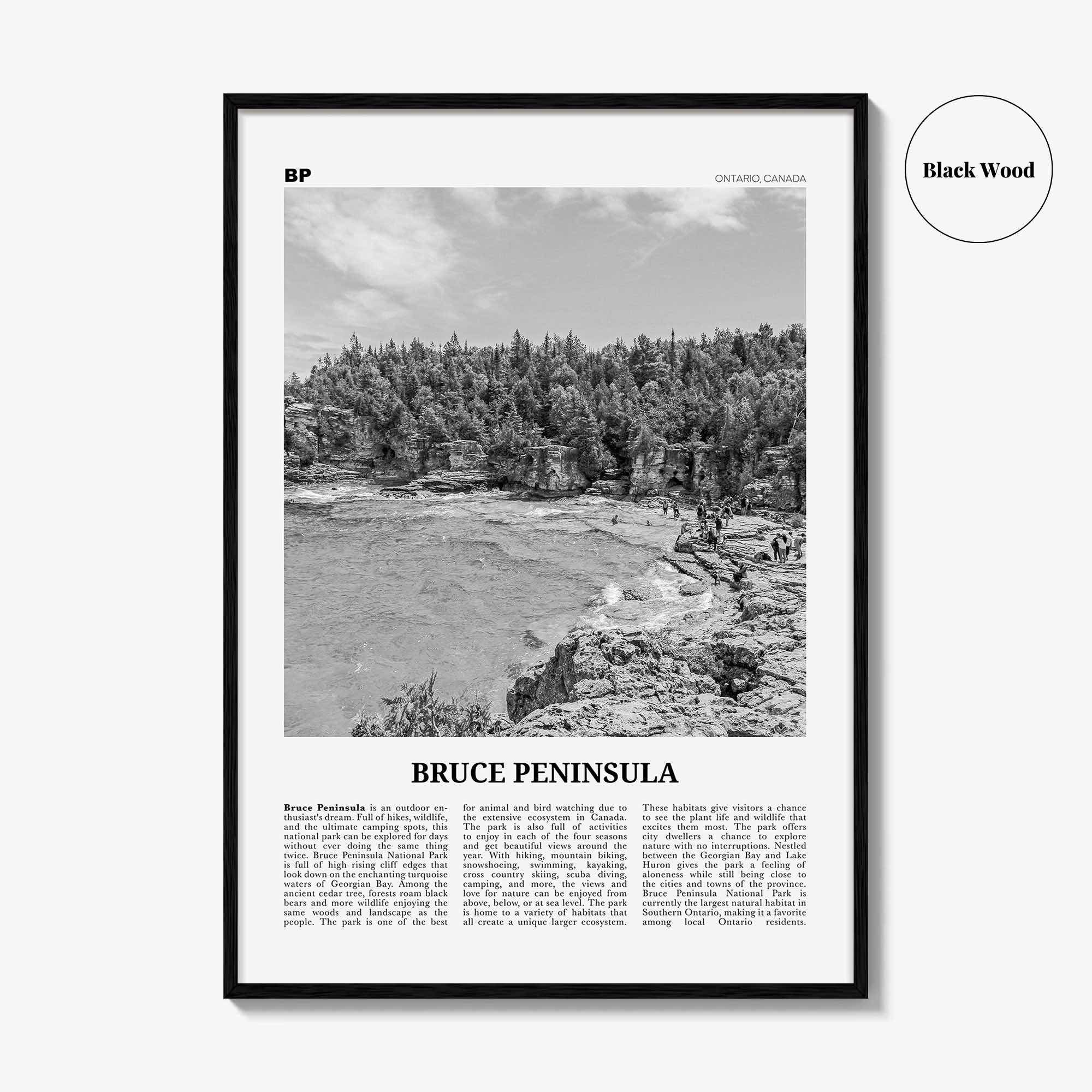 Bruce Peninsula Print Black and White, Bruce Peninsula Wall Art, Bruce Peninsula Poster, Bruce Peninsula Photo, Ontario, Canada