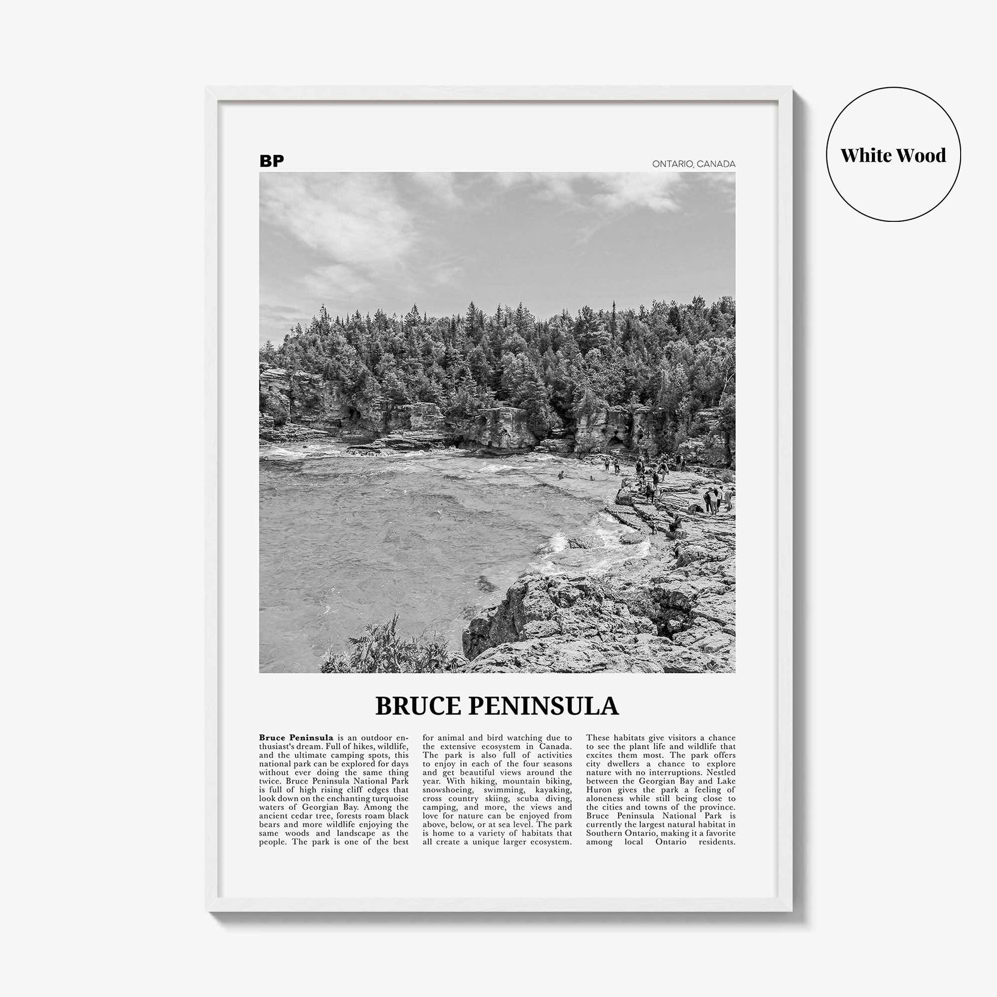 Bruce Peninsula Print Black and White, Bruce Peninsula Wall Art, Bruce Peninsula Poster, Bruce Peninsula Photo, Ontario, Canada