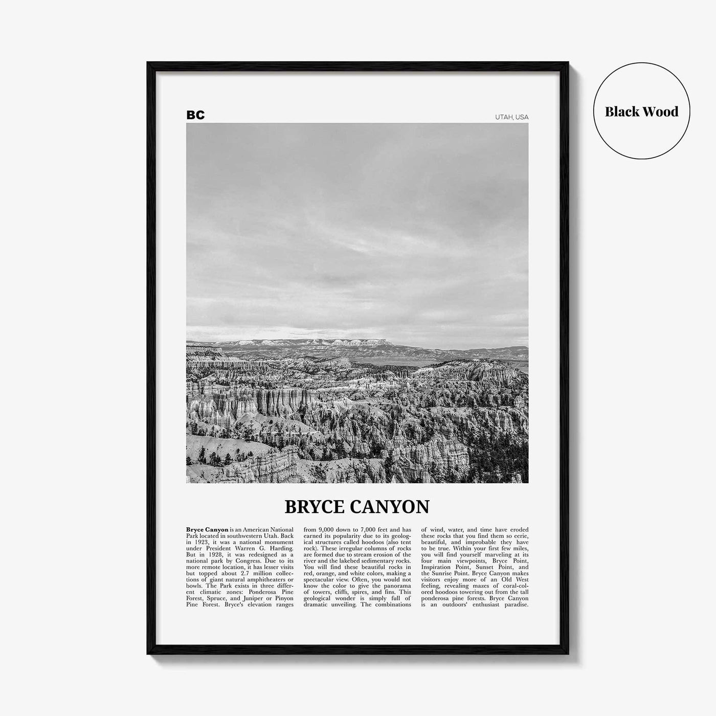 Bryce Canyon National Park Print Black and White, Bryce Canyon Wall Art, Bryce Canyon Poster, Bryce Canyon Photo, Utah, USA, United States