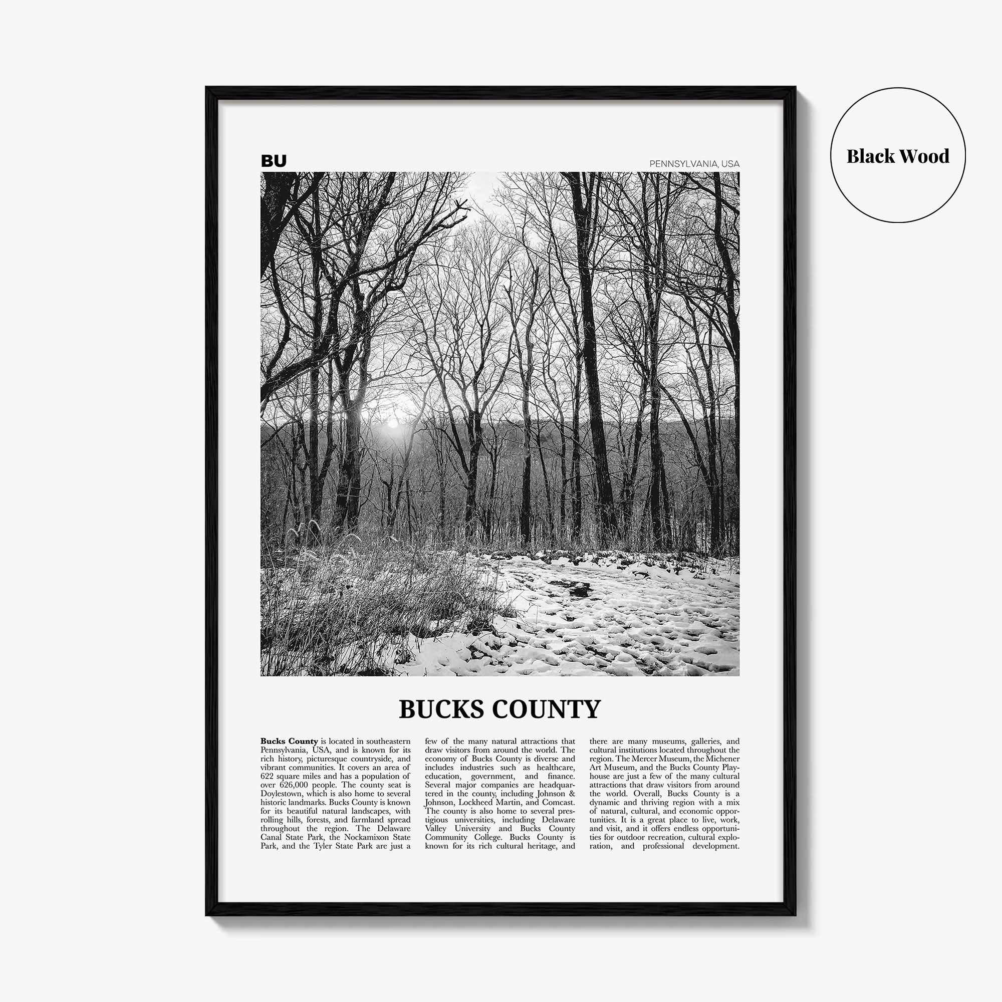 Bucks County Print Black and White, Bucks County Wall Art, Bucks County Poster, Bucks County Photo, Bucks County Wall Décor, Bucks Map