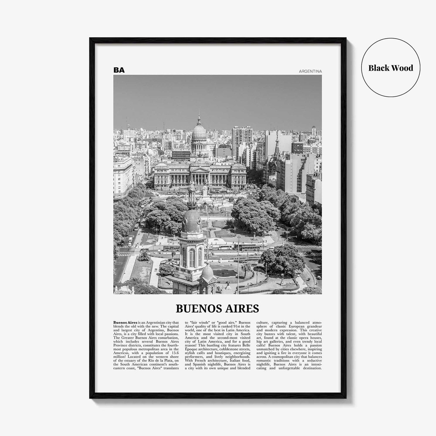 Buenos Aires Print Black and White No 2, Buenos Aires Wall Art, Buenos Aires Poster, Buenos Aires Photo, Argentina, South America