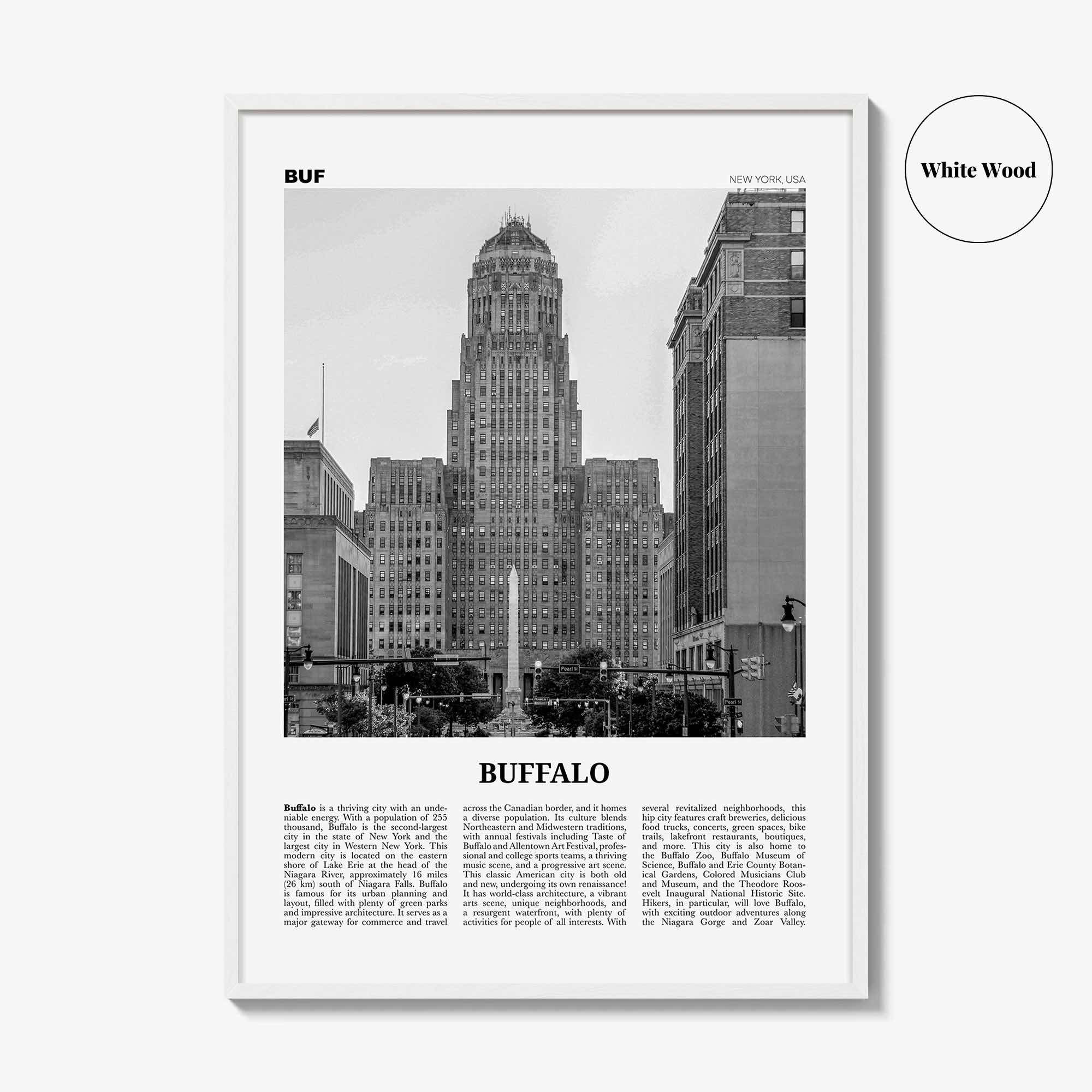 Buffalo Print Black and White No 1, Buffalo Wall Art, Buffalo Poster, Buffalo Photo, Buffalo Decor, New York, USA, United States, America