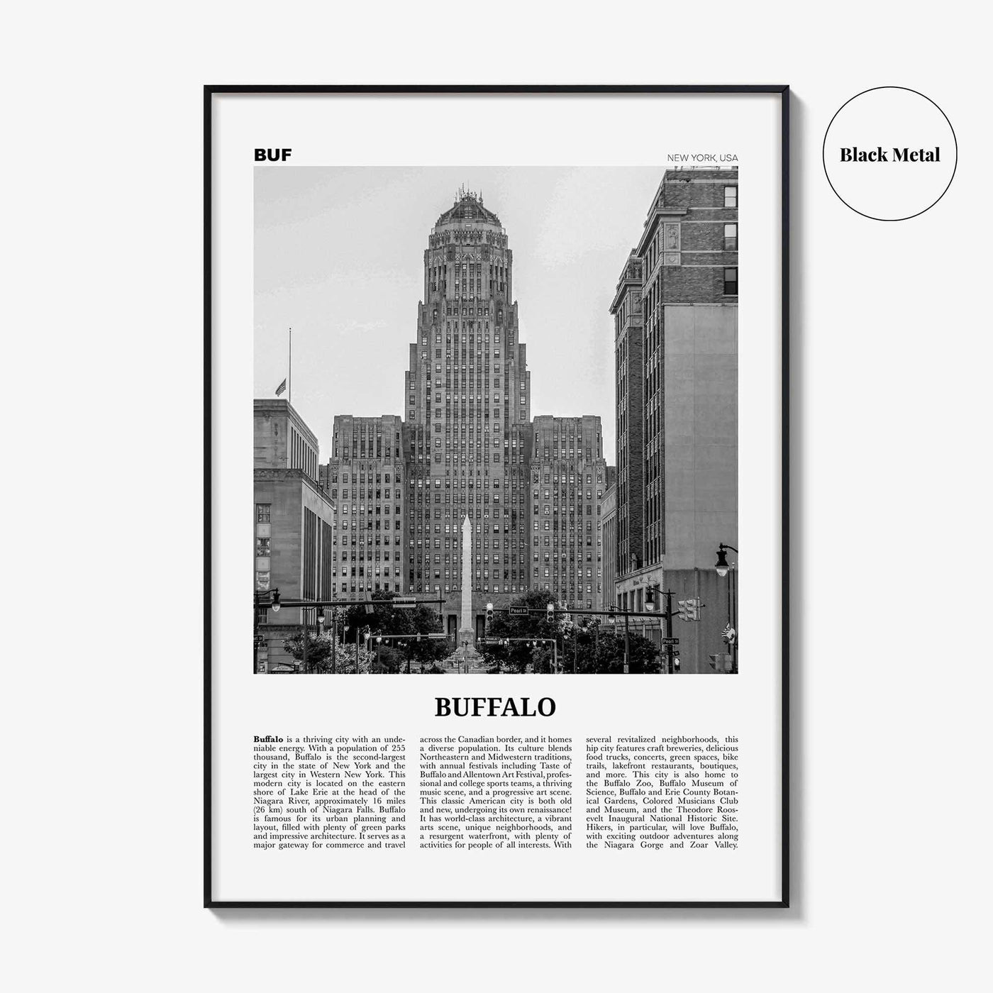 Buffalo Print Black and White No 1, Buffalo Wall Art, Buffalo Poster, Buffalo Photo, Buffalo Decor, New York, USA, United States, America