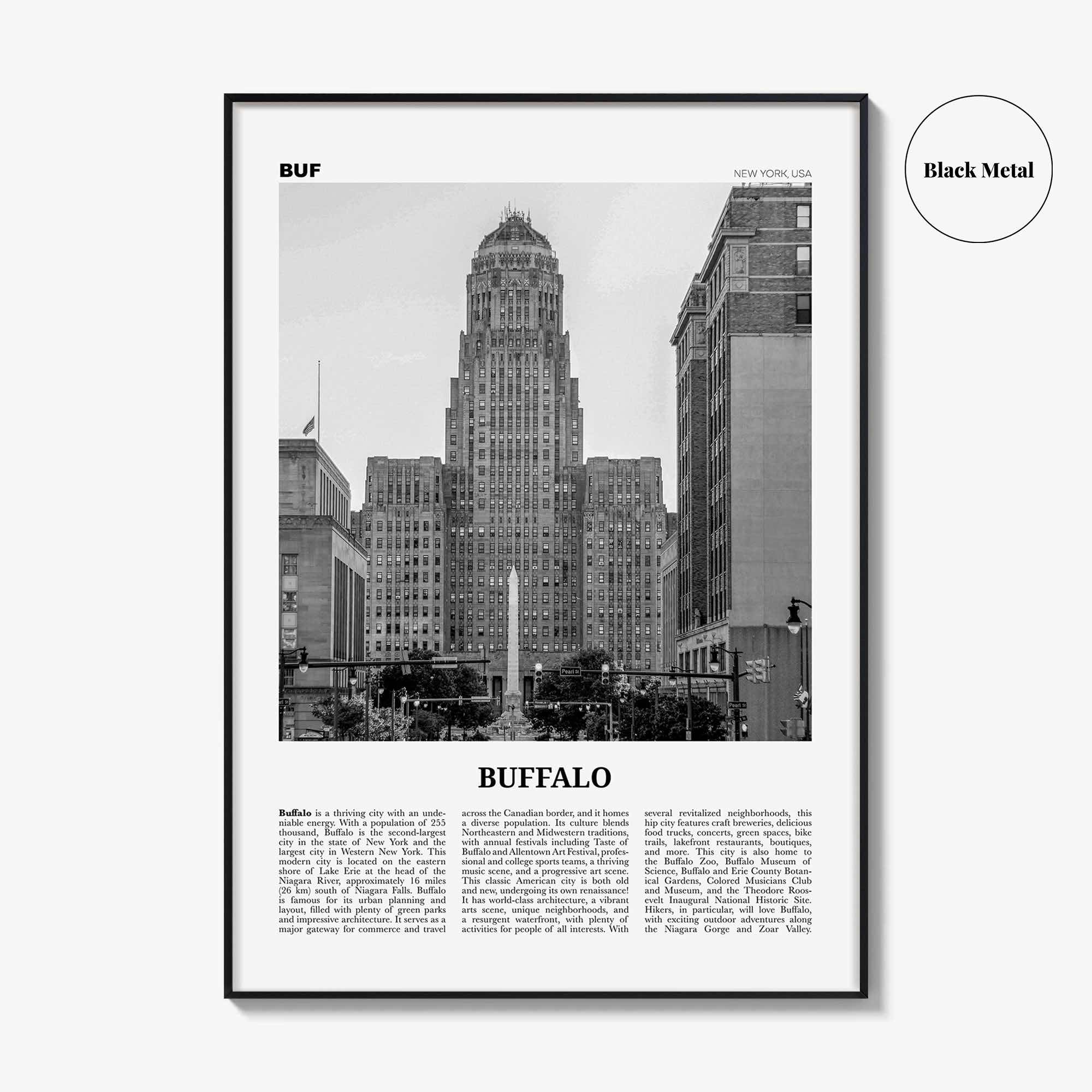 Buffalo Print Black and White No 1, Buffalo Wall Art, Buffalo Poster, Buffalo Photo, Buffalo Decor, New York, USA, United States, America