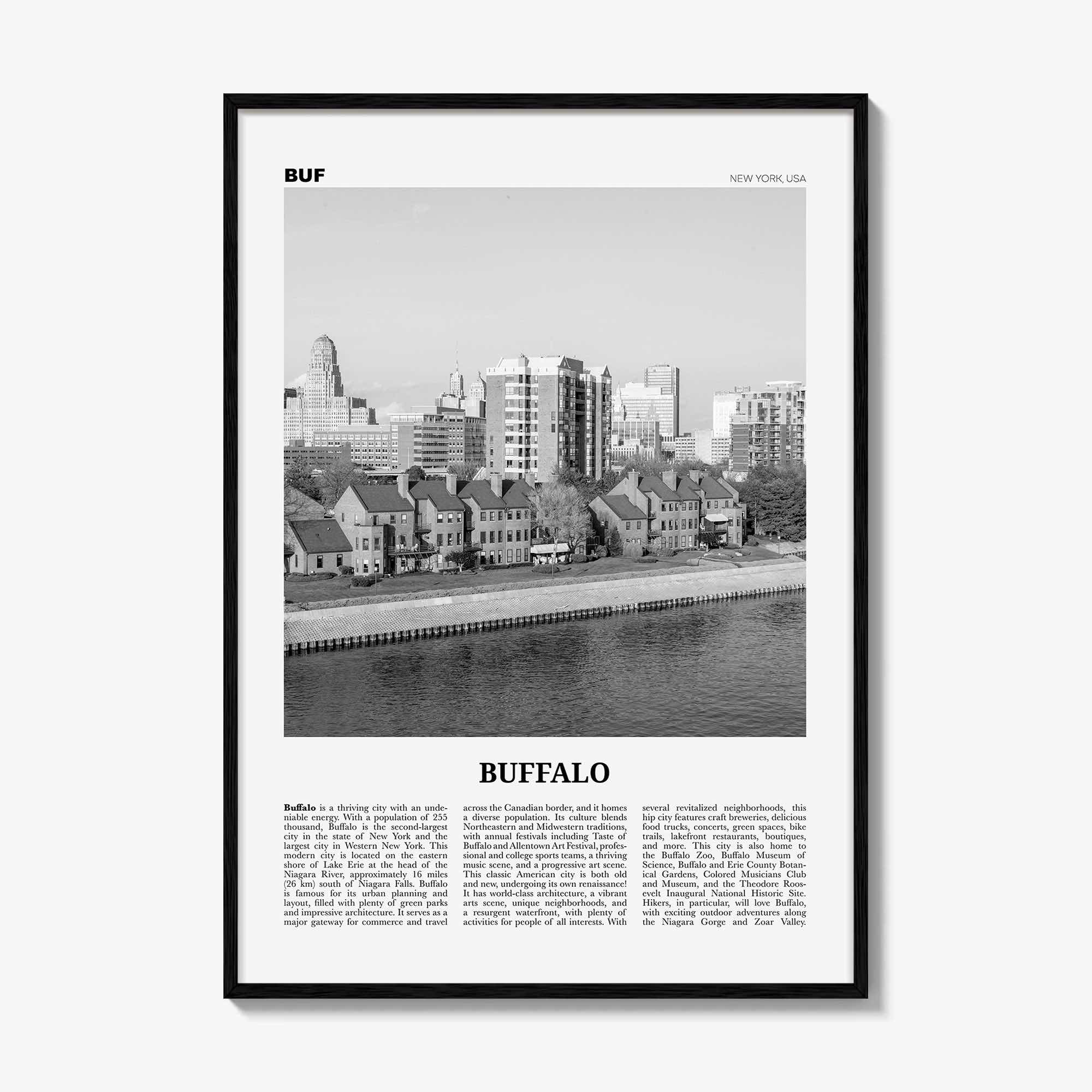 Buffalo Print Black and White No 2, Buffalo Wall Art, Buffalo Poster, Buffalo Photo, Buffalo Decor, New York, USA, United States, America