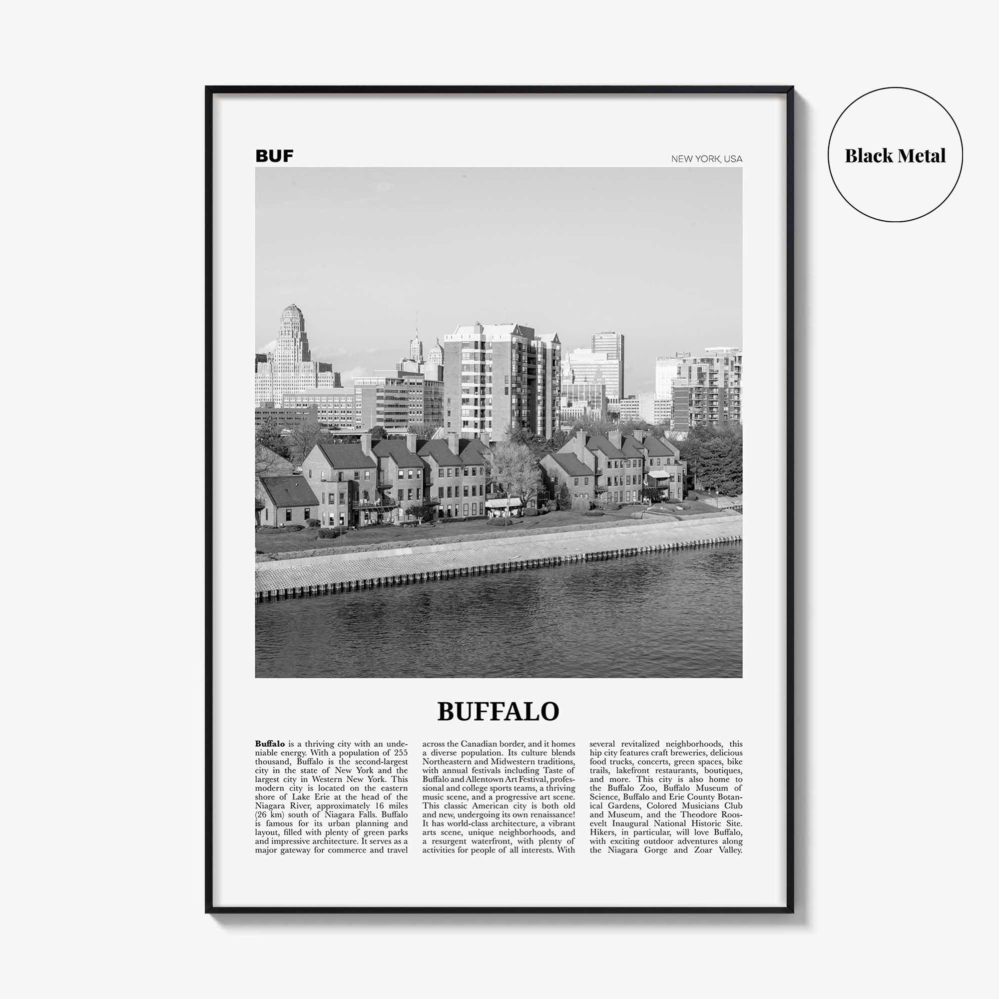 Buffalo Print Black and White No 2, Buffalo Wall Art, Buffalo Poster, Buffalo Photo, Buffalo Decor, New York, USA, United States, America