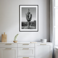 Cactus Photo B&W No 1 Poster