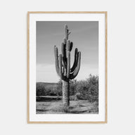 Cactus Photo B&W No 1 Poster