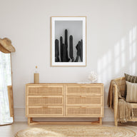 Cactus Photo B&W No 2 Poster