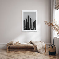 Cactus Photo B&W No 2 Poster