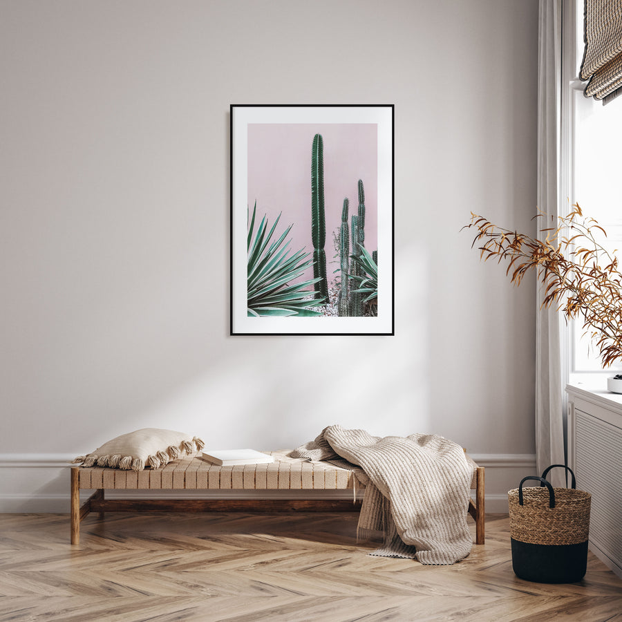 Cactus Photo Color No 2 Poster