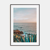 Cactus Photo Color No 3 Poster