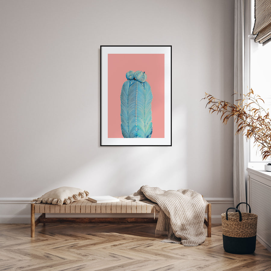 Cactus Photo Color No 5 Poster