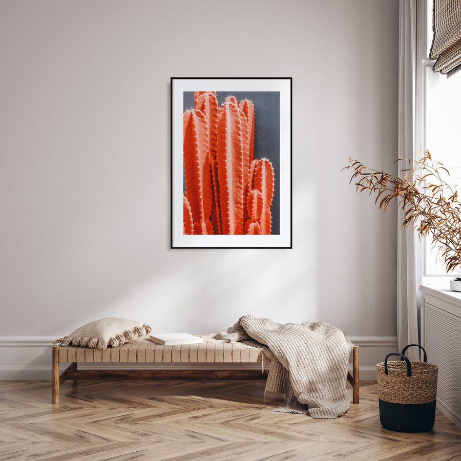 Cactus Photo Color No 7 Poster