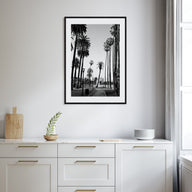 California Photo B&W No 2 Poster