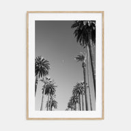 California Photo B&W No 4 Poster